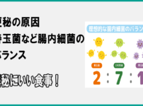 便秘の原因の善玉菌と腸内細菌のバランス、食事改善と便秘にいい食事