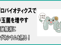 プロバイオティクスで善玉菌を増やし便秘解消にマグネシウムを摂る