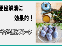 便秘解消に効果的！ドクダミ茶とプルーン